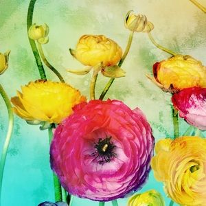 Meet your Posher, Debbie